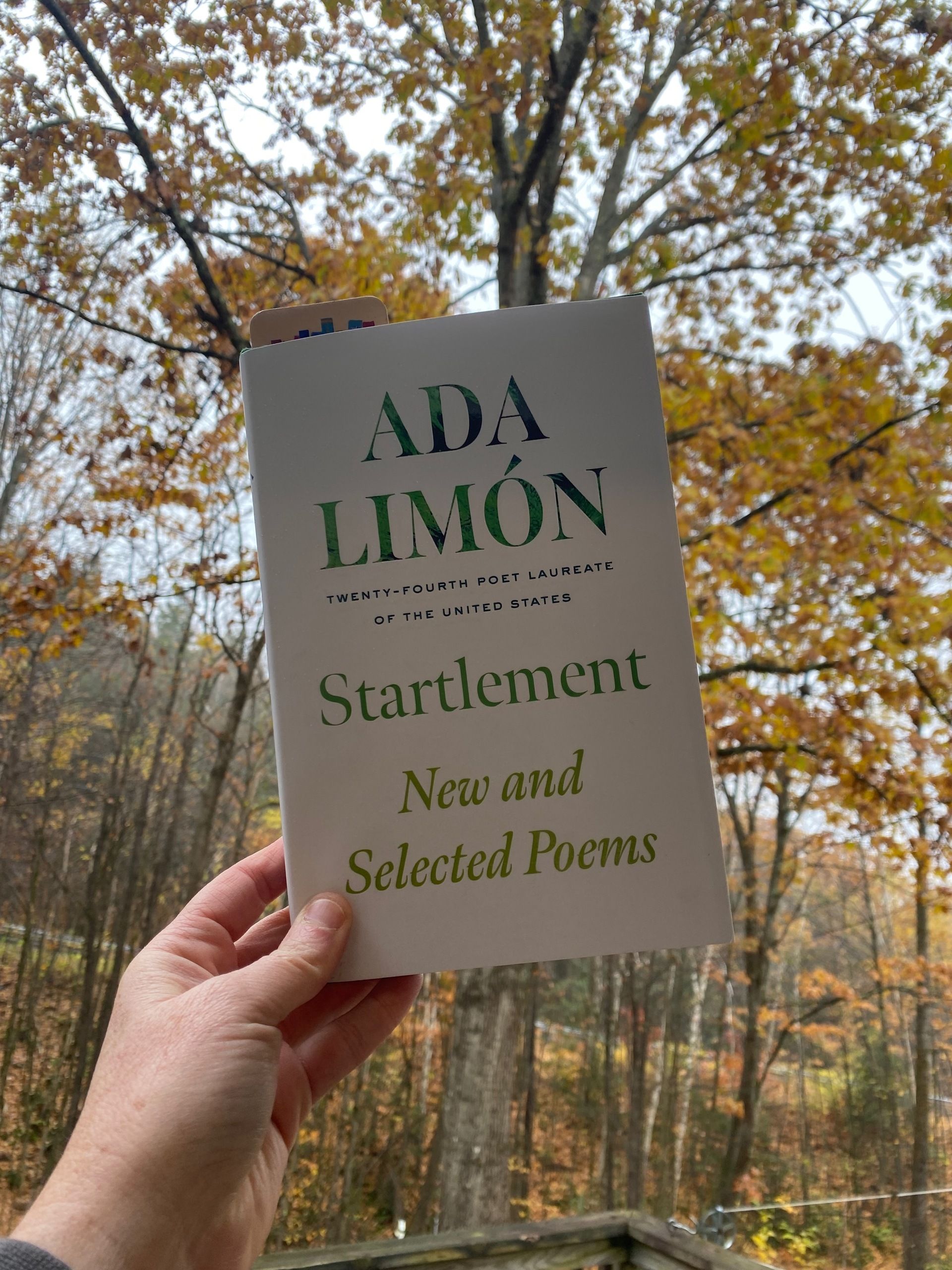 I'm holding up Startlement in front of a gold and brown oak tree..