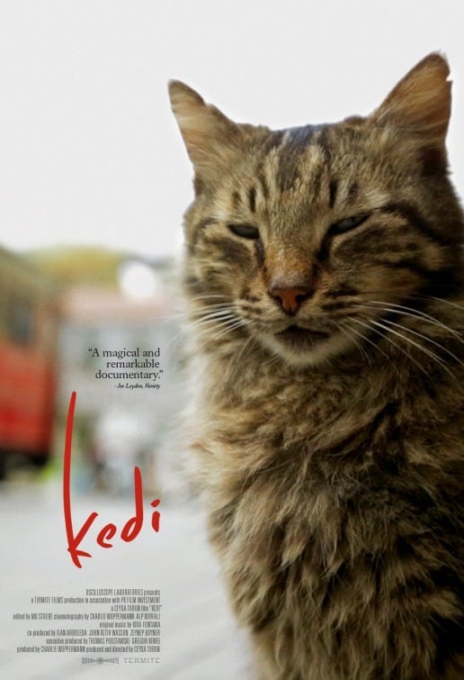 “Movie poster for the documentary Kedi, featuring a close-up of a tabby cat with half-closed eyes against a blurred city background, with the film’s title in red script.”