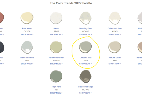 2022 Color of the Year - October Mist 1495