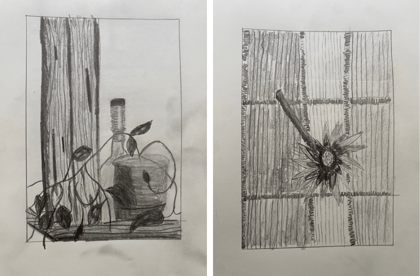 Two pages from my sketchbook: pencil drawings of a jar and a plant on my counter, and a rudbeckia stem on a placemat.