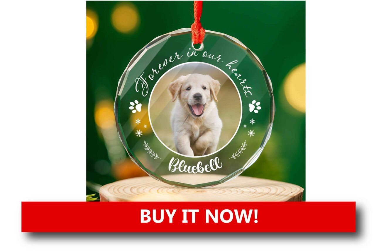 Personalized Holiday Ornaments Alt text: A round Christmas ornament featuring a pet’s name and paw print, hanging from a decorated tree branch surrounded by twinkling holiday lights.