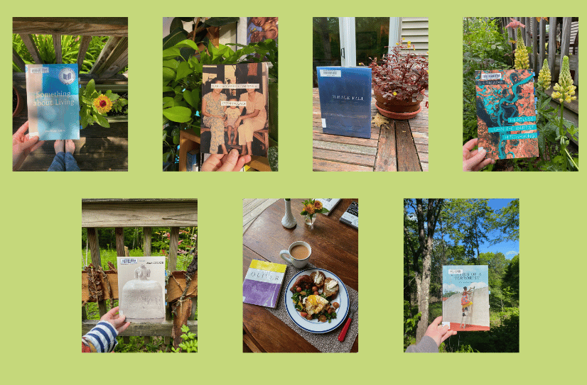Photos of seven of the poetry collections mentioned, mostly in front of flowers on my porch, on a green background.