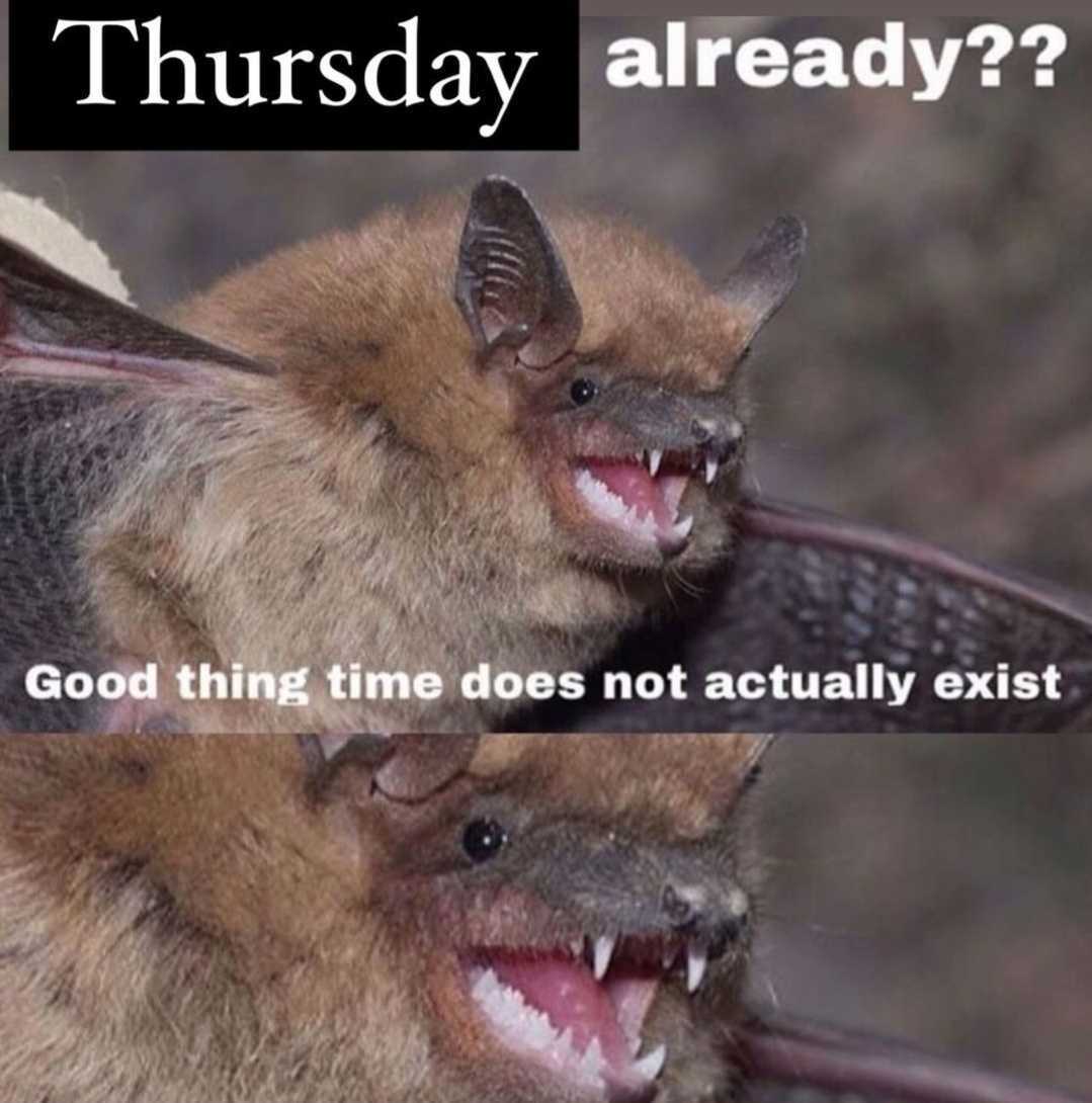 meme of a grinning bat, captioned "Thursday already? Good thing time does not actually exist"