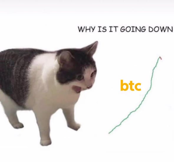 crypto-meme