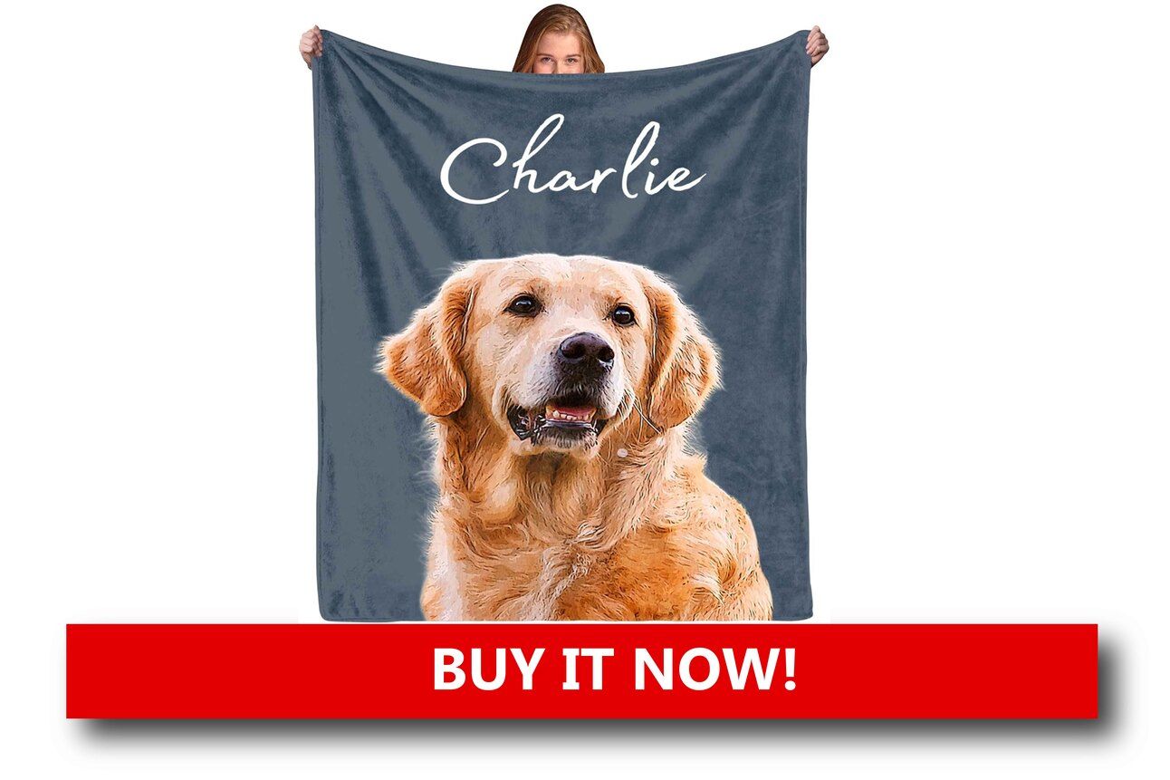 Pet-Themed Throw Blankets Alt text: A cozy fleece blanket draped over a sofa, featuring playful illustrations of different dog breeds wearing holiday hats and scarves.