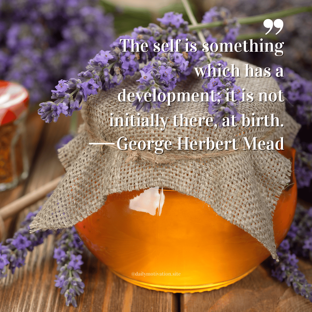 the self is somethig which has a development, it is ot initially there, at birth - geroge herbert mead