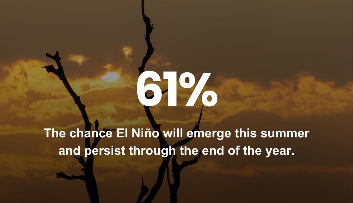 61% - The chance El Niño will emerge this summer and persist through the end of the year.
