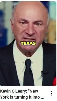 Kevin O'Leary: "New York is turning it into the American Nightmare"