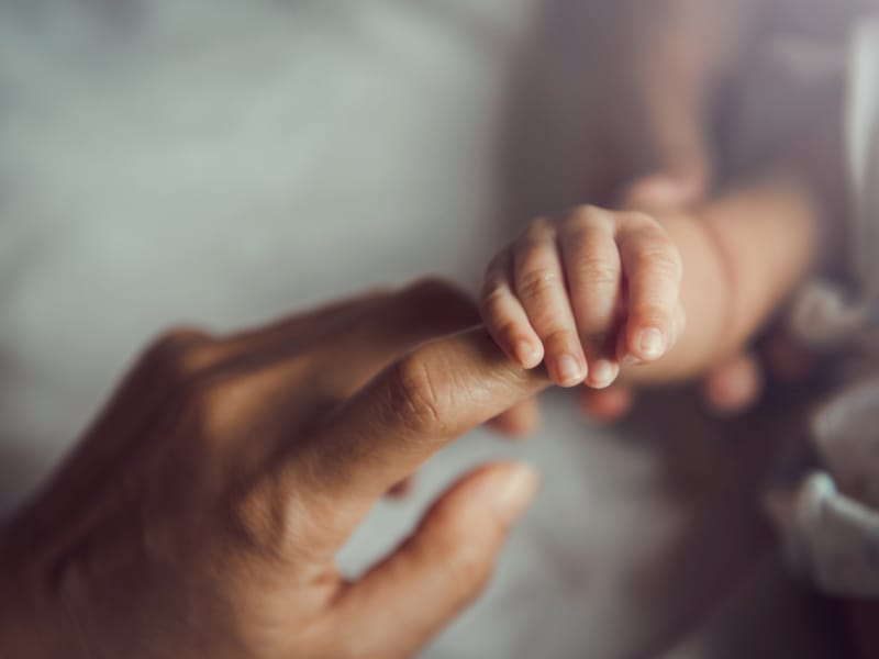 A newborn baby’s small hand grasps an adult’s finger, symbolizing fragility, connection, and care in the earliest days of life.