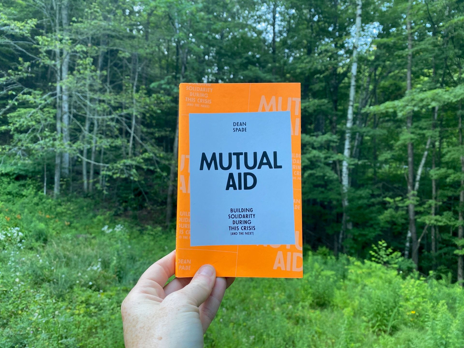 I’m holding up this book in front of a meadow and some trees.