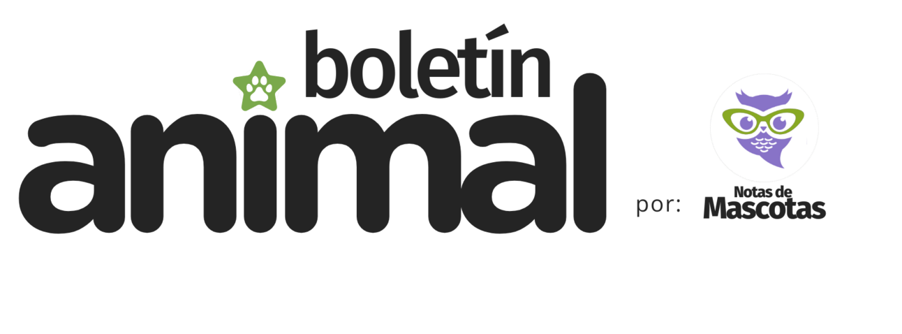 Boletín Animal