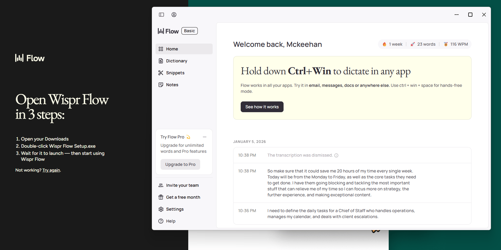 tool-3-wispr-flow-voice-to-text-that-finally-works-3
