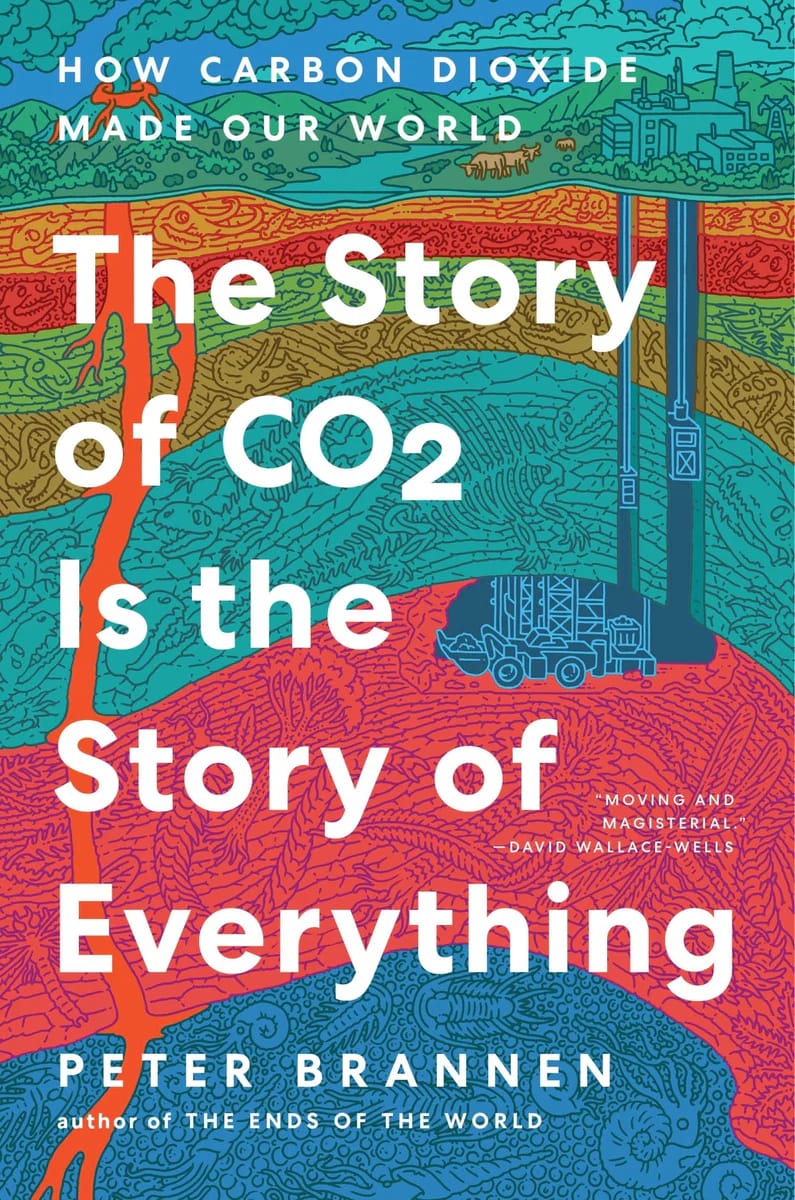 The Story of CO2 Is the Story of Everything: How Carbon Dioxide Made Our World by Peter Brannen