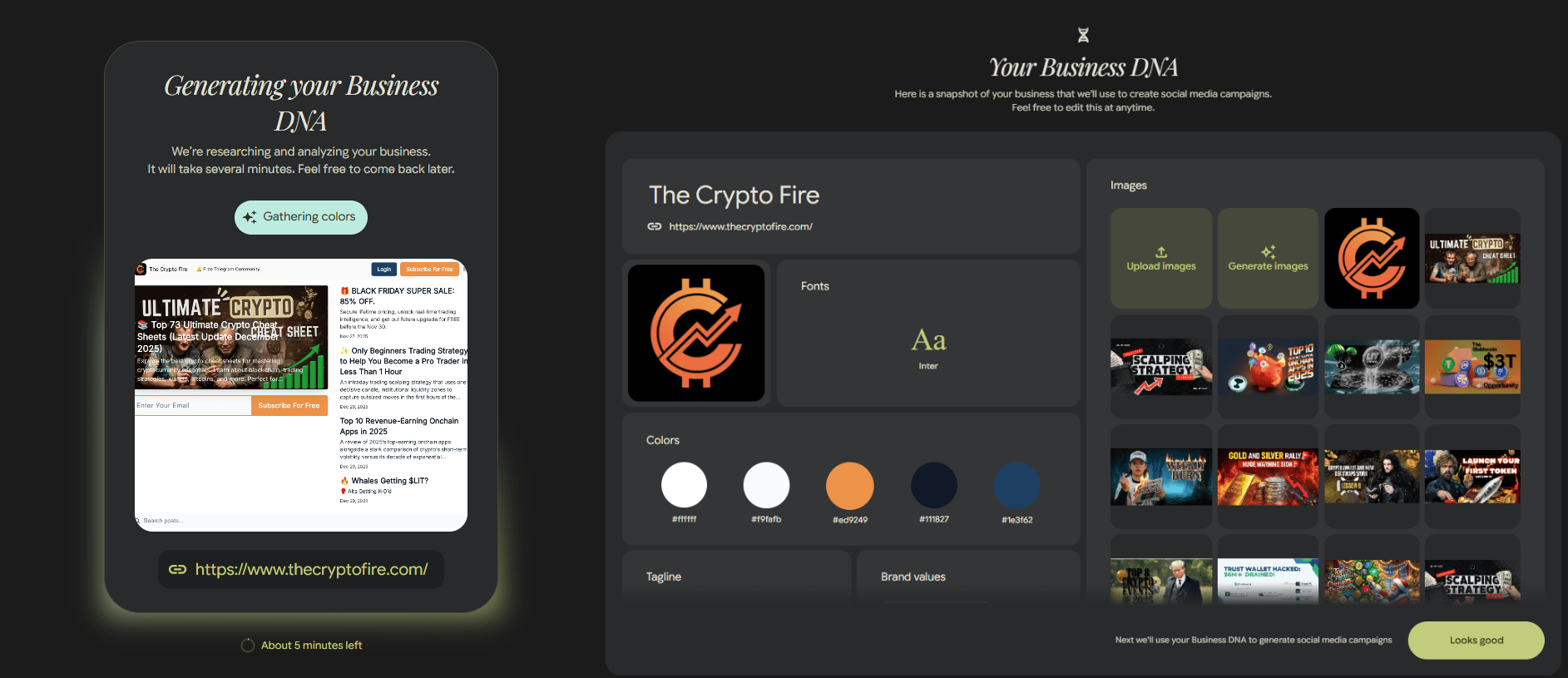 pomelli-generated-business-dna