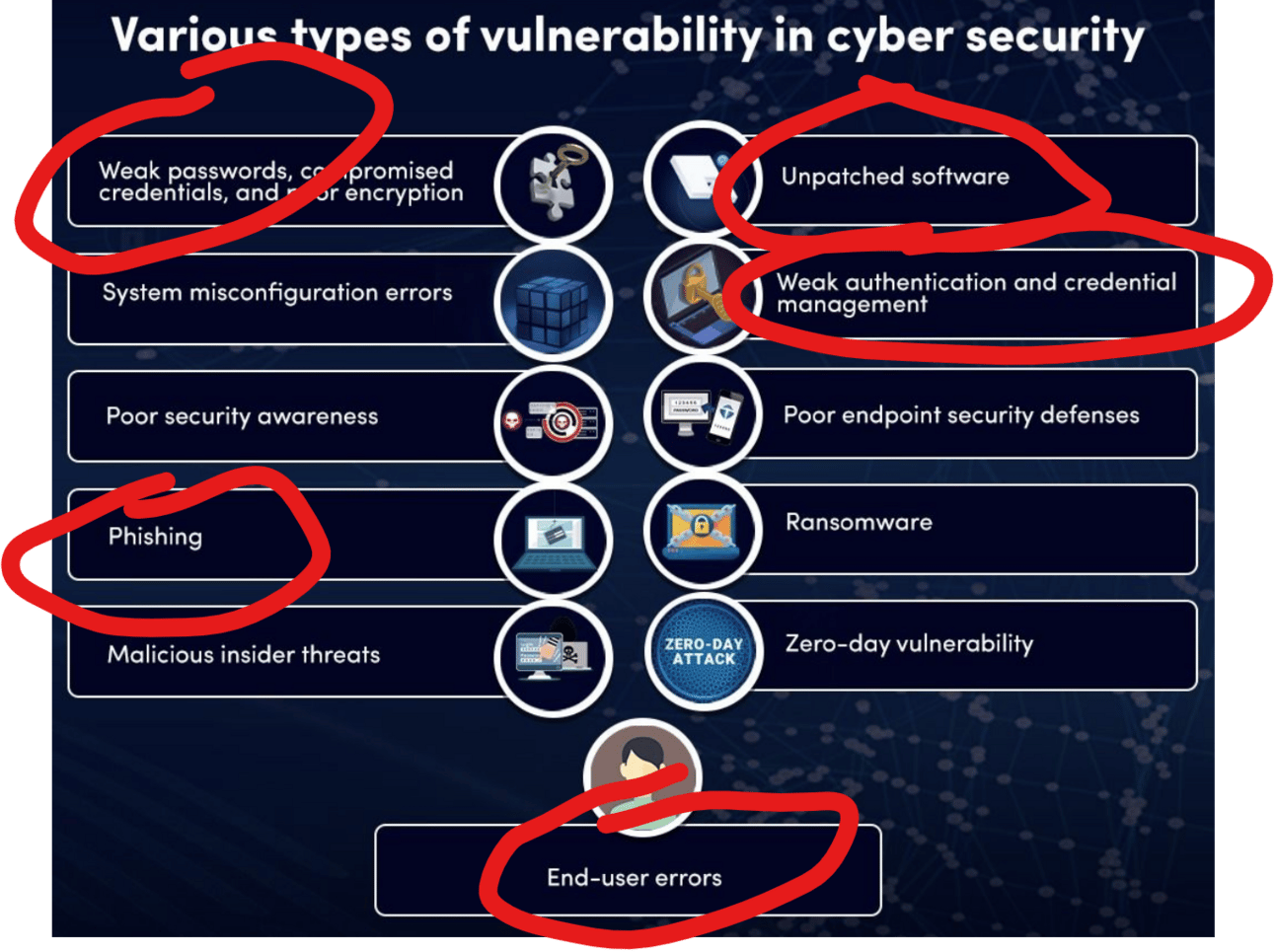Cyber Security Vulnerabilities
