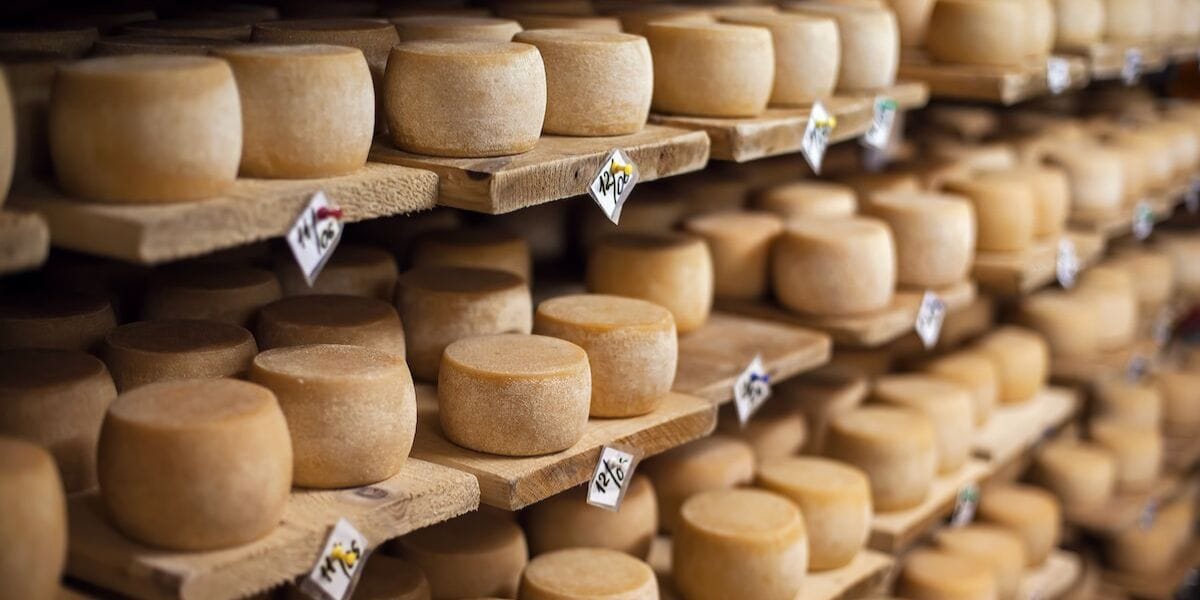 rows and rows of cheeseee
