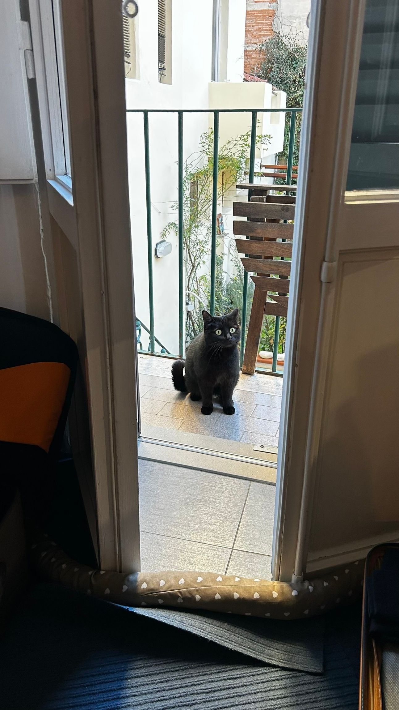 A charming black cat sitting on a Florence balcony, a symbol of good fortune. A companion for morning coffee before exploring Tuscany’s vineyards with Jimmy the Fox Bottle Italy Wine Travel Bag.