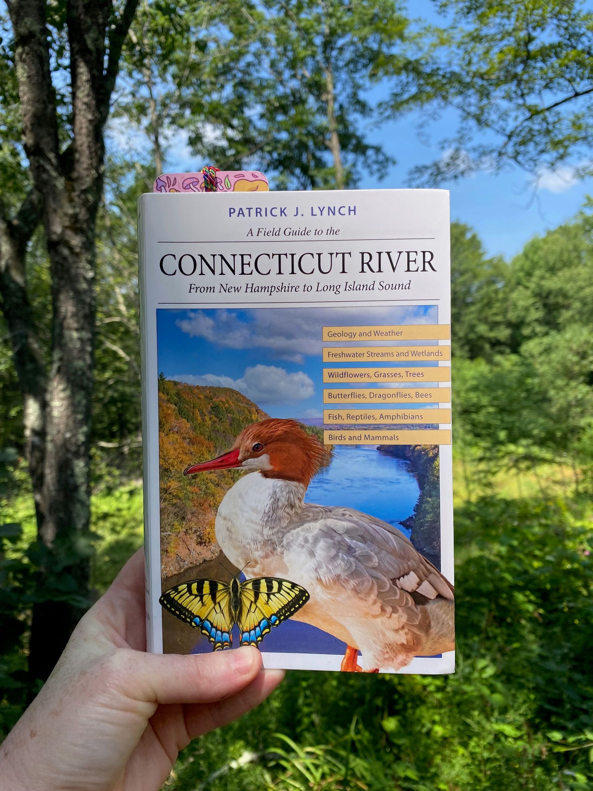 I’m holding up this book in front of a sunny field and some trees.