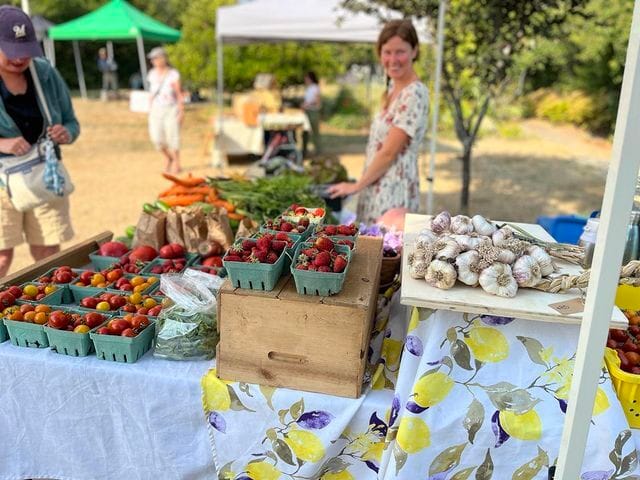 nsaanichfarmmarket on Instagram
