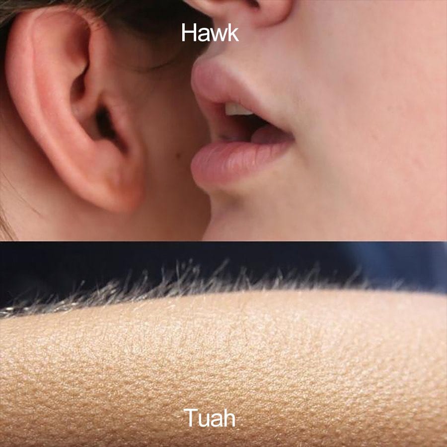Hawk Tuah meme