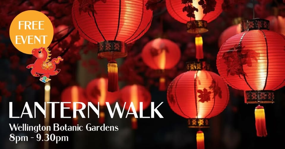 Lantern Walk at Wellington Botanic Garden