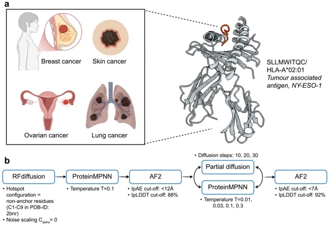 finally-ai-can-design-real-cancer-killing-proteins-in-just-weeks