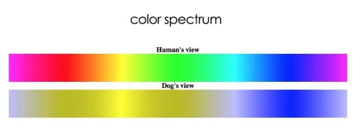 comparing-color-spectrums