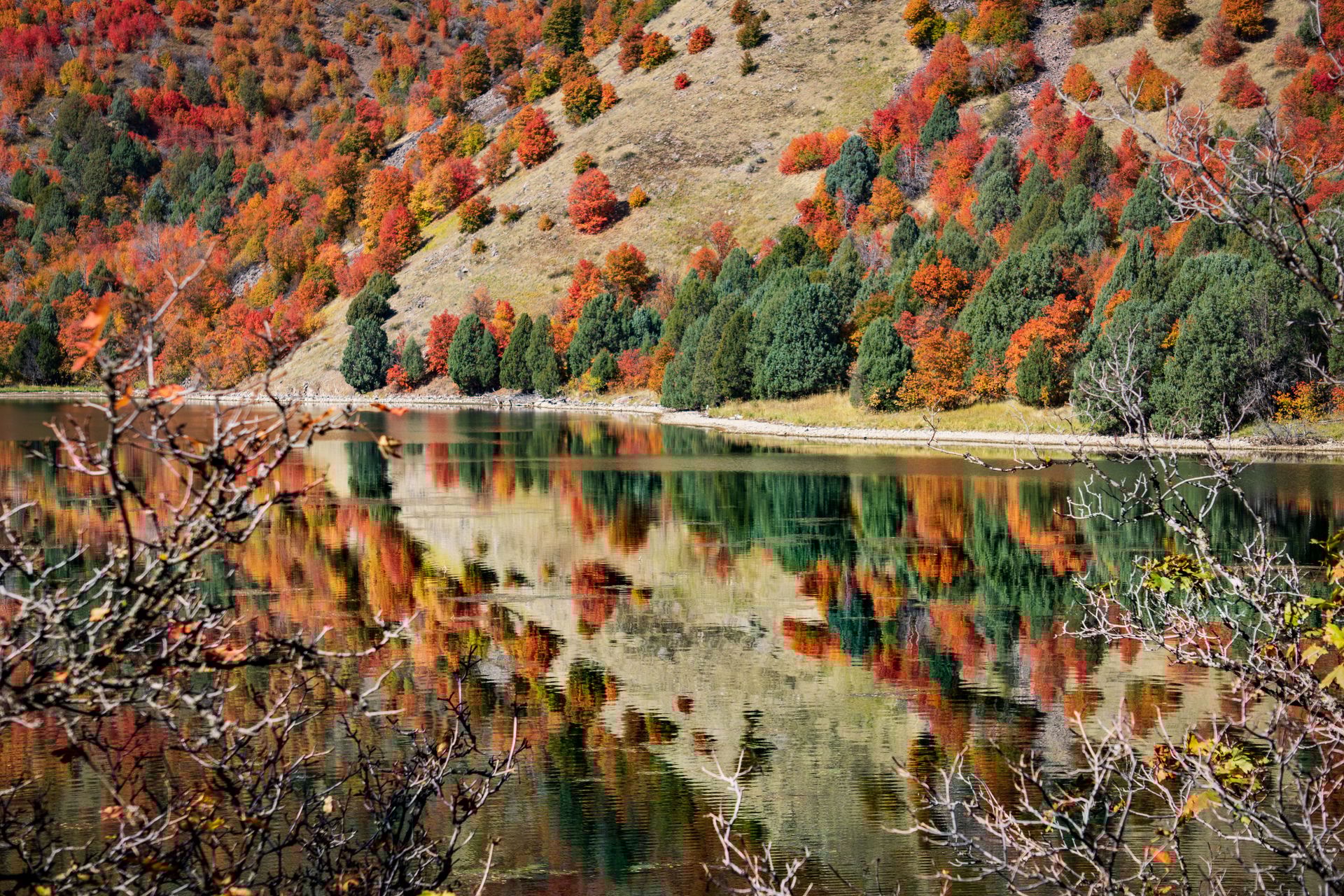 oneida narrows bear river scenery near preston idaho fall colors on mountain reflect on river