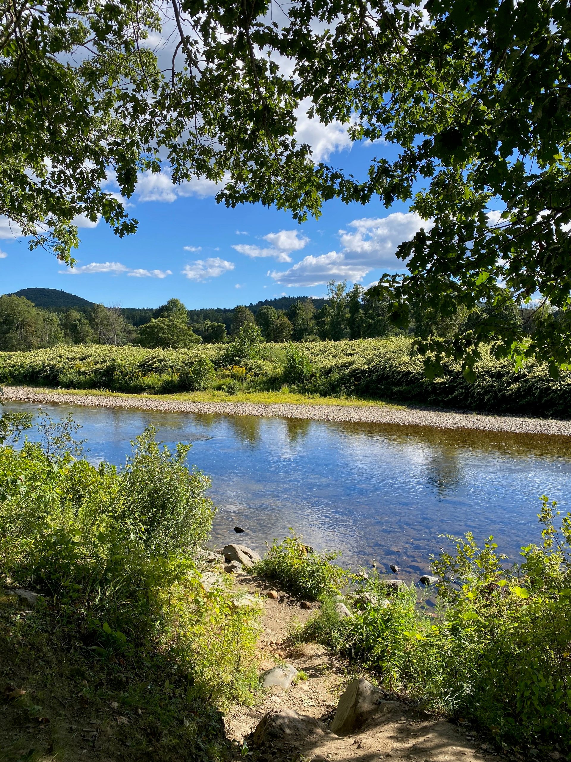 View of a sunny river framed by tree branches, with hills and blue sky in the background.
