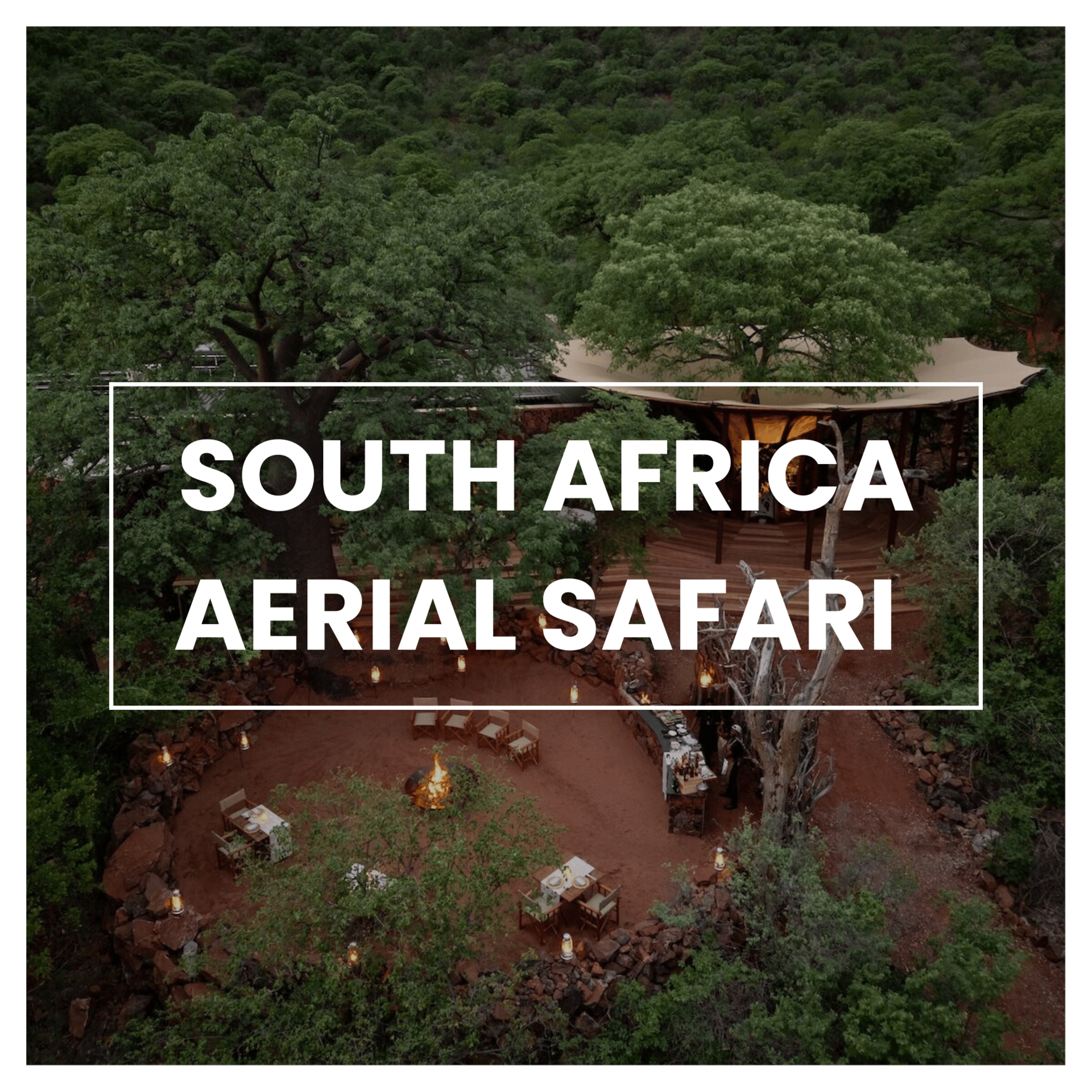 Dream Vacations: An Aerial Safari Through a UNESCO Biosphere Reserve