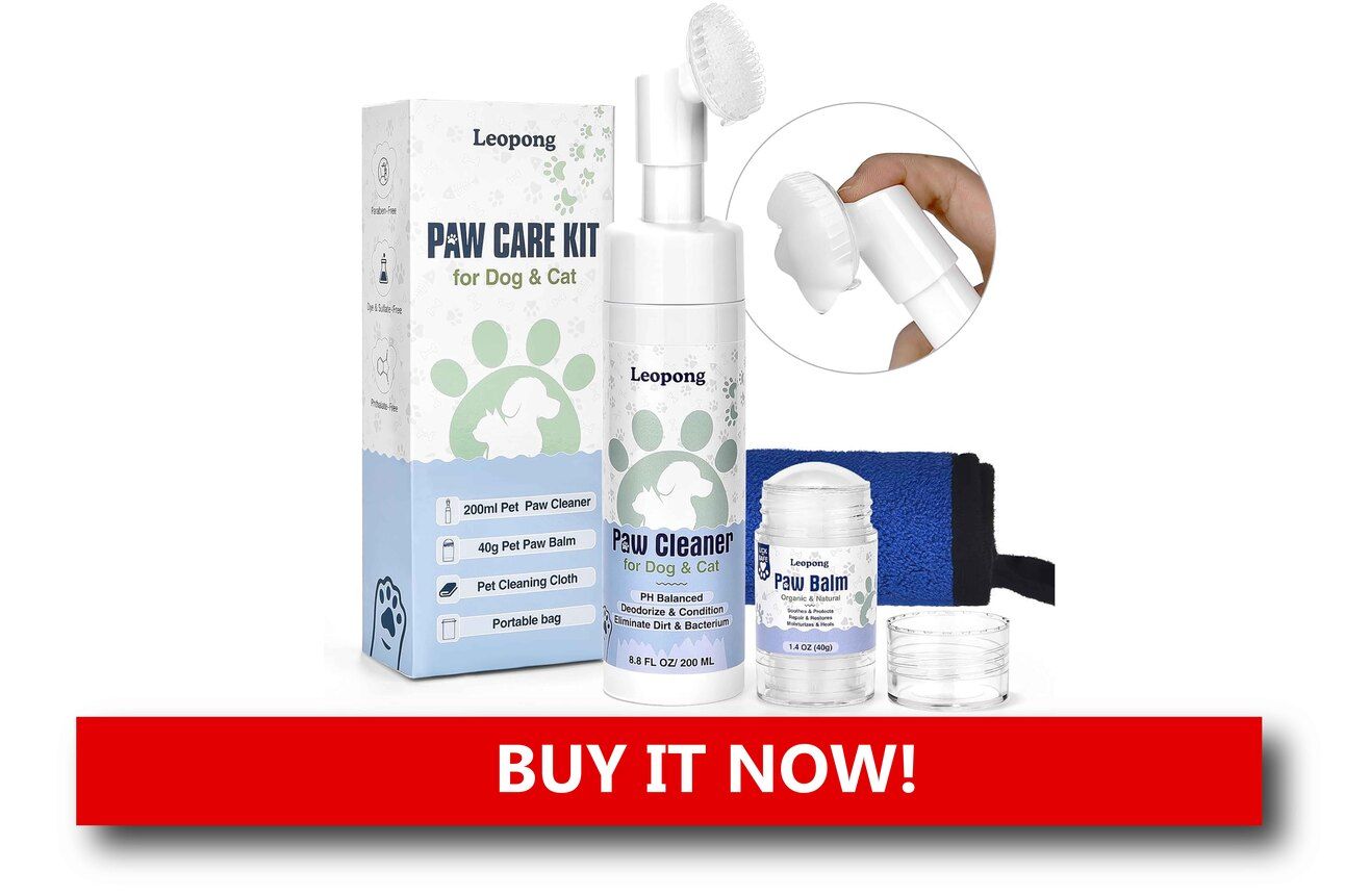 Dog Paw Care Kit Alt text: A paw care set with a gentle cleaner, healing balm, and applicator brush, arranged neatly on a bathroom counter with holiday greenery in the background.
