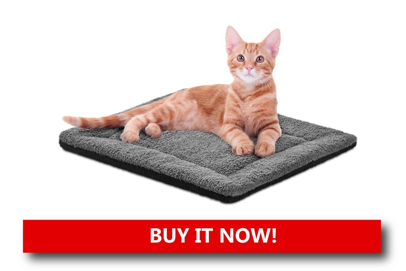Heated Pads for Chilly Days Alt text: A rectangular heated pet pad with a soft fleece cover, placed on a bed with a senior dog resting comfortably on top.