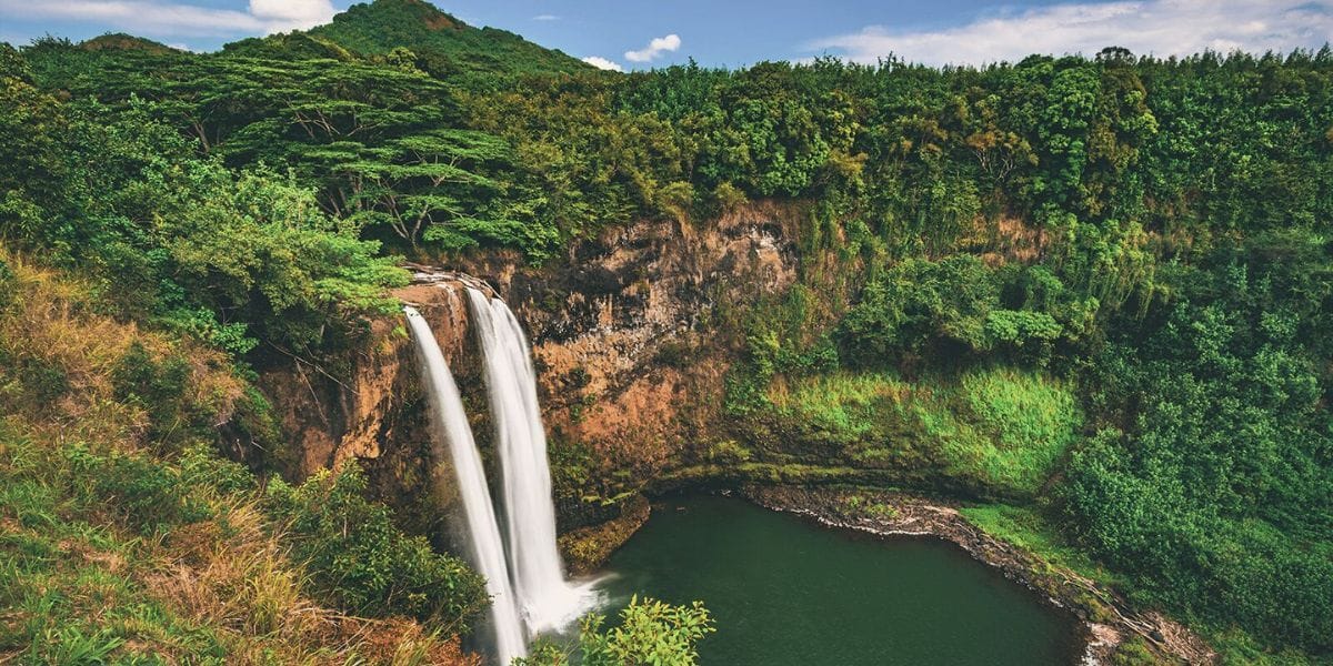 waterfall surrounded by lush greenery