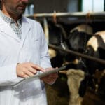 Mid section portrait of unrecognizable farm worker wearing lab c
