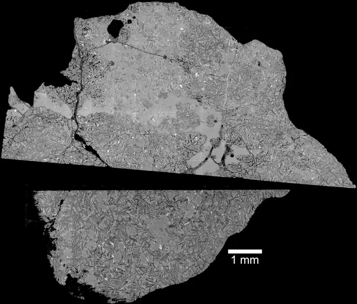 Image of Northeast Africa 16286 sample from a scanning electron microscope. These "backscattered electron images" use shades of grey to show different mineral compositions in the rock.