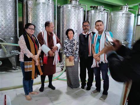 kiwi wine business of 12 crore revenue