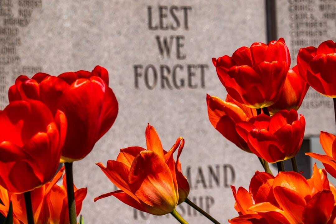 tulips in front of a war memorial