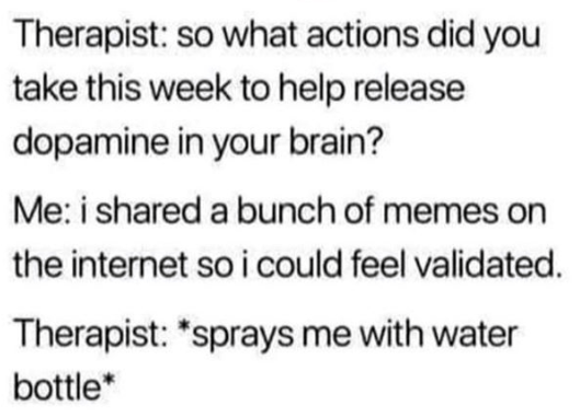 meme on therapy