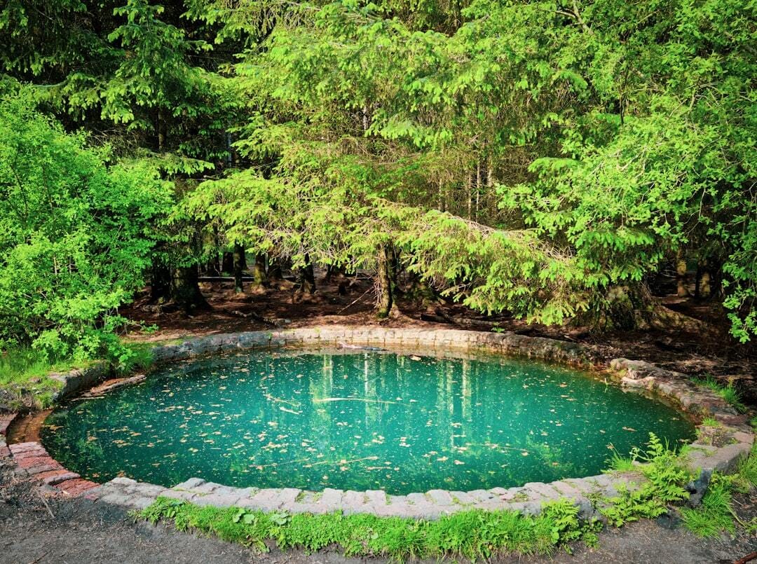 Blue Pool, Torwood