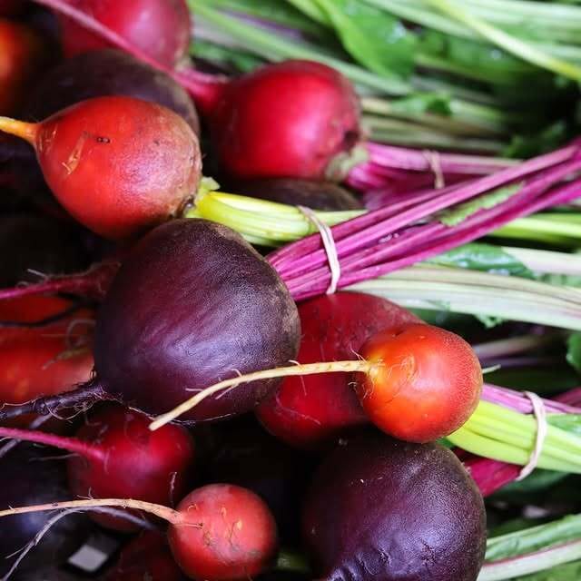 uminamifarm on Instagram