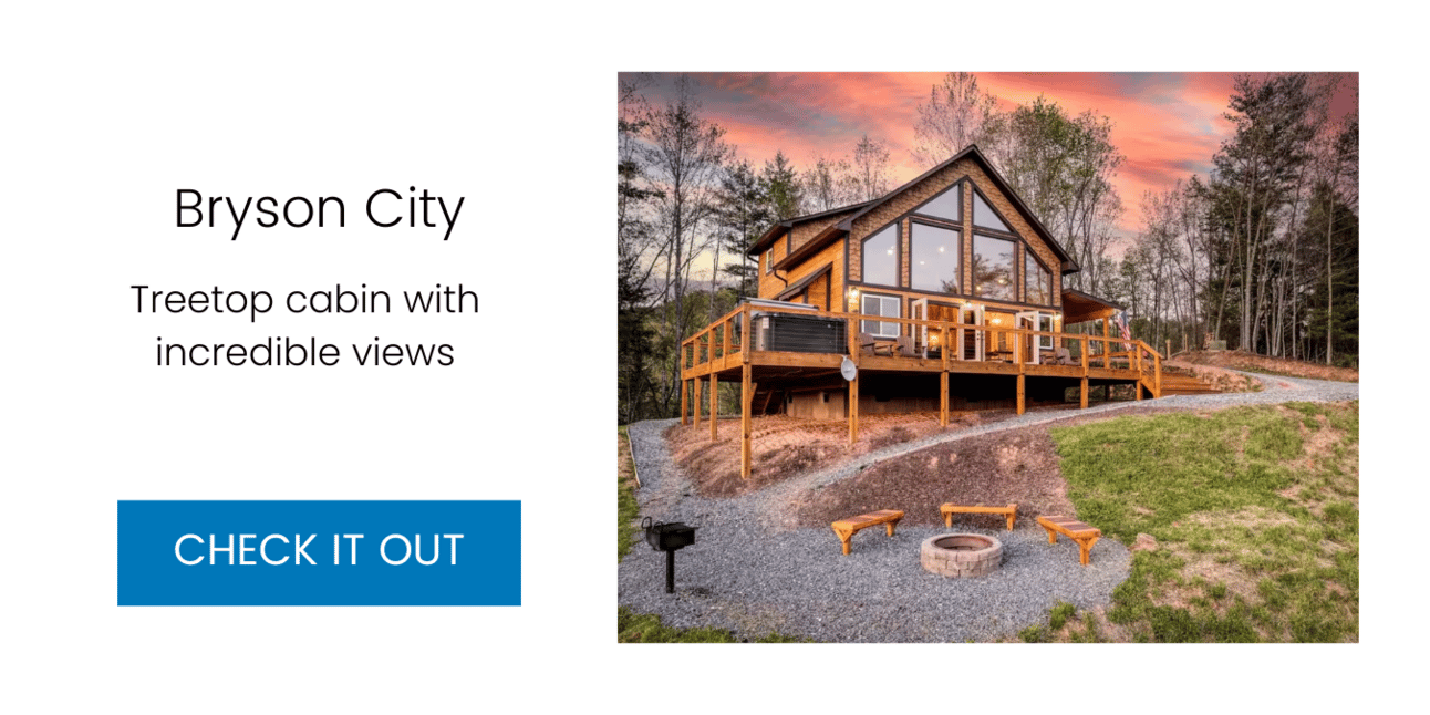 Treetop cabin with incredible views — Bryson City, North Carolina