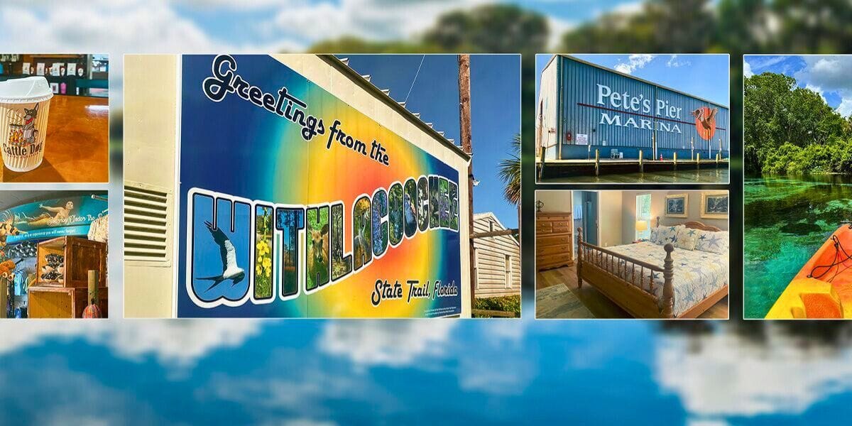 collage of fun things to do in Citrus County