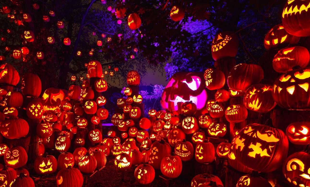 Jack'O'Lanterns at Roger Williams Park