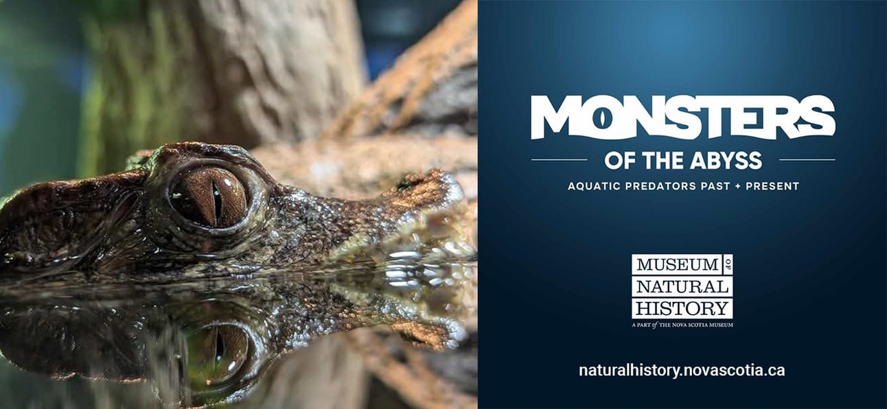 YOUR MUSEUM OF NATURAL HISTORY