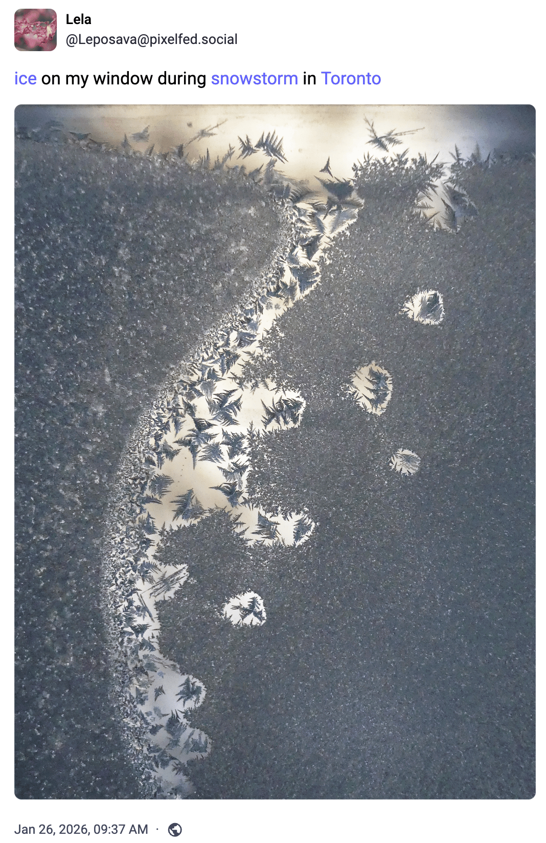 ice on my window during snowstorm in Toronto