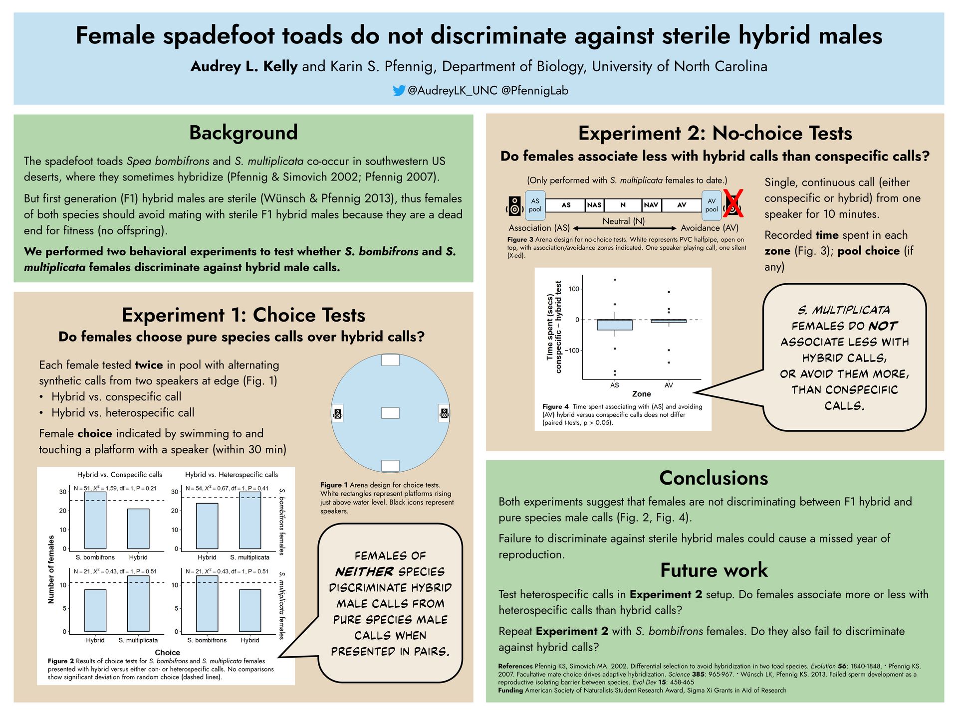 Poster titled, "Female spadefoot toads do not discriminateagainst sterile hybrid males."