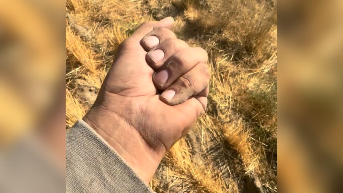 A man's closed hand holding a tiny, unidentified creature inside