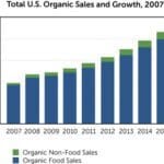 Organic Growth Chart Infographic