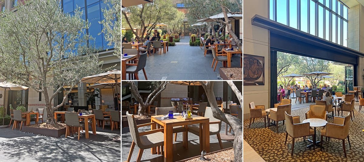 Outdoor terrace and elegant dining area at Plateia restaurant, UCLA Luskin Hotel, featuring wooden tables, olive trees, and a relaxed Mediterranean ambiance perfect for brunch