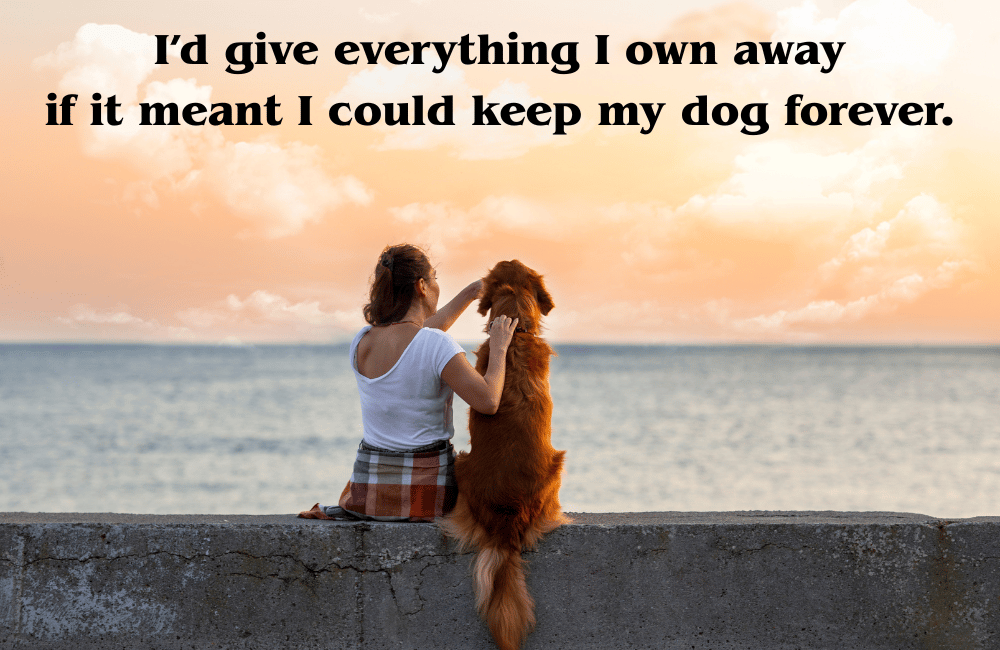 Keep My Dog Forever